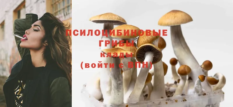 Псилоцибиновые грибы Magic Shrooms  Зима 